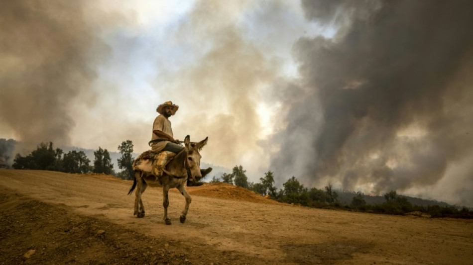 Maroc: des renforts pompiers et militaires pour maîtriser les feux de forêt