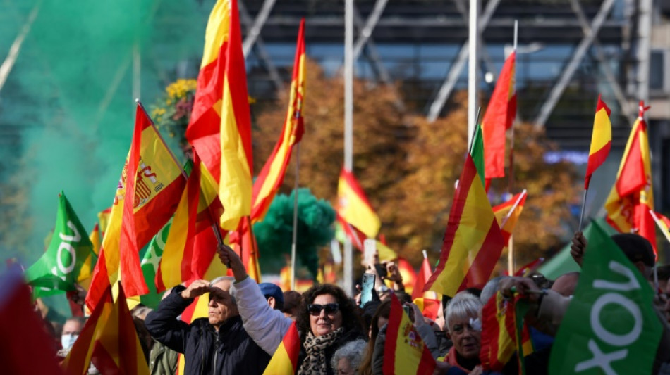 La ultraderecha llega al poder en varias ciudades espa&ntilde;olas