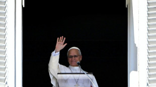 Argentina estima que visita do papa mobilizar&aacute; sete milh&otilde;es de fi&eacute;is