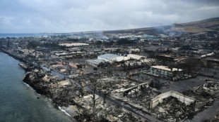 Incendies &agrave; Hawa&iuml;: ce que l'on sait du feu qui a fait un carnage sur l'&icirc;le de Maui