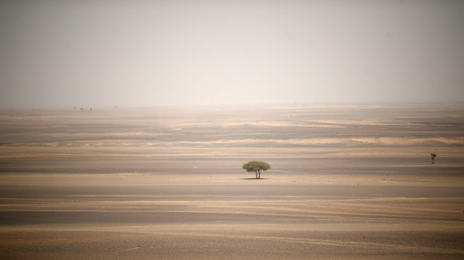 Le "sacrifice" de leur fils d&eacute;jou&eacute;, deux Fran&ccedil;ais bient&ocirc;t extrad&eacute;s d'Espagne