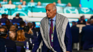 Presidente federaci&oacute;n palestina de f&uacute;tbol no obtiene visa para ir al Mundial