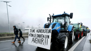 Nord: autoroute coup&eacute;e apr&egrave;s une mobilisation d'agriculteurs fran&ccedil;ais et belges