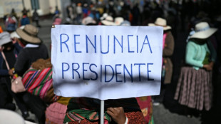 Ministro da Defesa da Bol&iacute;via renuncia ap&oacute;s um m&ecirc;s de protestos