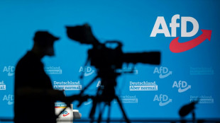 Hessen und Bayern wollen nach Hochstufung AfD-Mitglieder im Staatsdienst prüfen