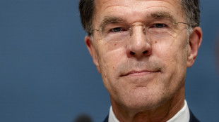 Rutte, 'bene l'accordo con l'Iran, azione Usa migliora la sicurezza'