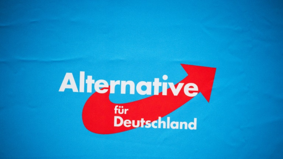 AfD-Parteitag spricht sich f&uuml;r erneute Doppelspitze aus