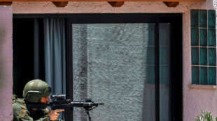 Las exportaciones de armas de Israel baten un nuevo r&eacute;cord