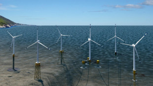Eolico offshore, Mase propone tariffe diverse per palificato e flottante