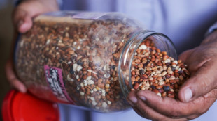 Em Gaza, um banco de sementes renasce entre as ru&iacute;nas da guerra