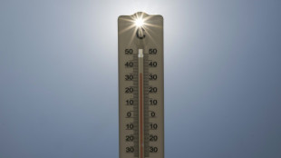 Cient&iacute;ficos advierten a la FIFA del riesgo de calor extremo en Mundial 2026