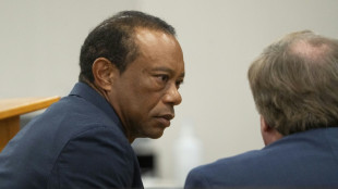 Tiger Woods se declara culpable de conducci&oacute;n temeraria por un accidente de coche en EEUU