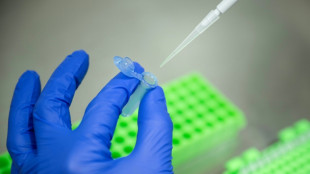 Gentechnik: Agrarindustrie begrüßt EU-Einigung - Kritik von Umweltschützern