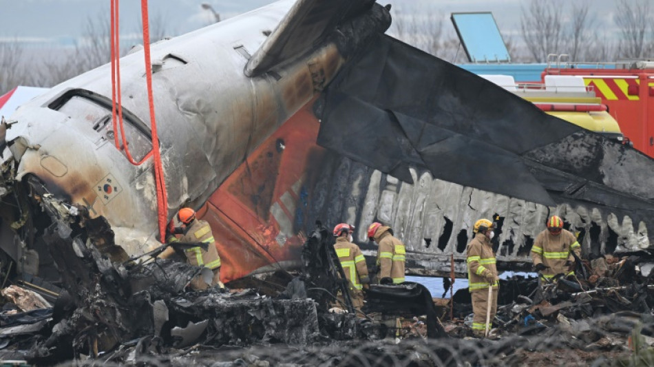 Corea del Sur comienza a entregar los cuerpos de las v&iacute;ctimas del accidente a&eacute;reo