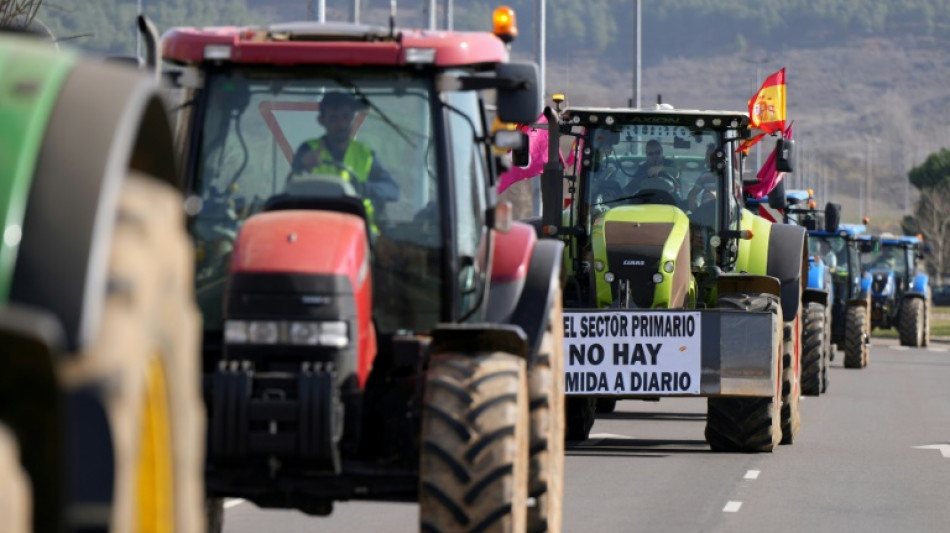 Los agricultores espa&ntilde;oles mantienen las movilizaciones tras reunirse con el ministro