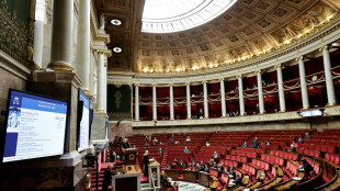 L'Assembl&eacute;e approuve les cam&eacute;ras algorithmiques dans les commerces contre le vol