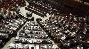 Il Parlamento approva la risoluzione di maggioranza sul Dfp