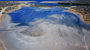 Climat : jugement "historique" aux Pays-Bas, somm&eacute;s de mieux prot&eacute;ger l'&icirc;le antillaise de Bonaire