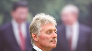 Cremlino respinge il piano di pace di Zelensky con zona economica libera