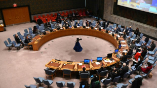 UN Security Council to meet Monday on humanitarian crisis in Ukraine: diplomats