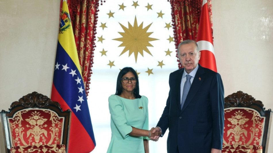 Delcy Rodr&iacute;guez se re&uacute;ne con el presidente de Turqu&iacute;a en Estambul