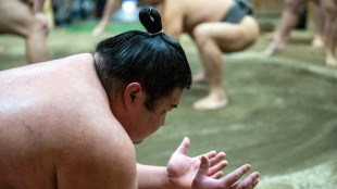 Sumo diplomacy: Japan's heavyweight 'soft power' ambassadors
