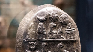 L'origine della scrittura risale a 40mila anni fa, in Europa