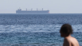 Teheran minaccia, oltre Hormuz possiamo bloccare anche Bab al-Mandab