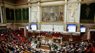 After budget row, French MPs pass 'special law' to keep show on the road