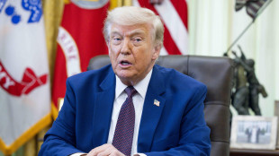 Trump, 'non abbiamo bisogno dell'aiuto degli europei nella guerra contro l'Iran'