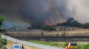 Le commerçant à l'origine d'un incendie dans l'Aude placé en détention