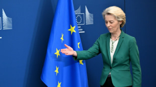 Droits de douane: l'UE a proposé aux Etats-Unis une exemption totale pour les biens industriels