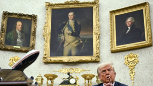 Aux Etats-Unis, l'ind&eacute;pendance des institutions remise en cause par Trump