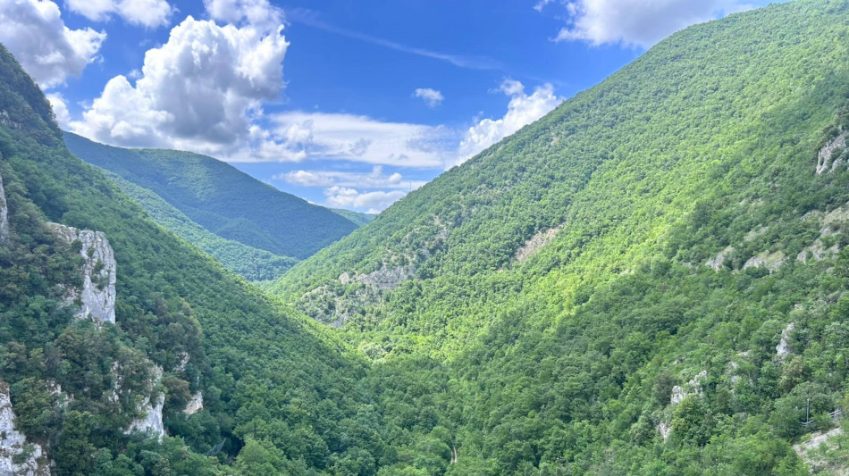 L'Italia &egrave; diventata una nazione forestale, superati i 100mila km quadrati