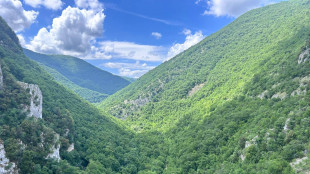 L'Italia &egrave; diventata una nazione forestale, superati i 100mila km quadrati