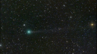 La comète Nishimura, tout juste découverte, visible dans le ciel
