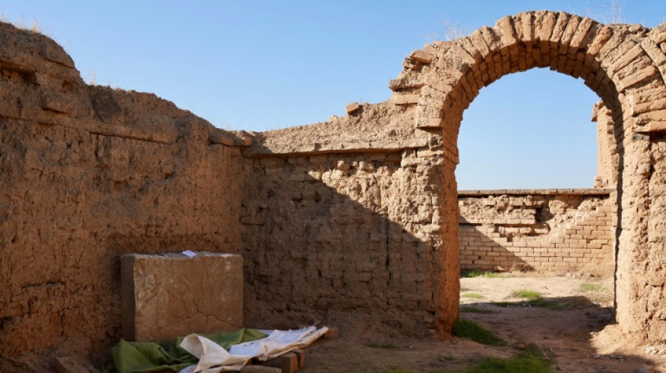 Sur un site antique d'Irak, reconstituer des "tr&eacute;sors de M&eacute;sopotamie" d&eacute;truits par l'EI