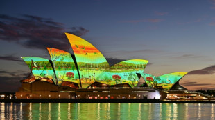 Indigenous rights activists protest on Australia Day