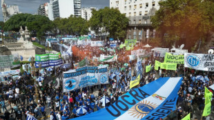 Argentine: Milei entre la colère sociale et le salut du FMI