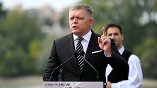 Kreide-Proteste gegen Regierung in der Slowakei