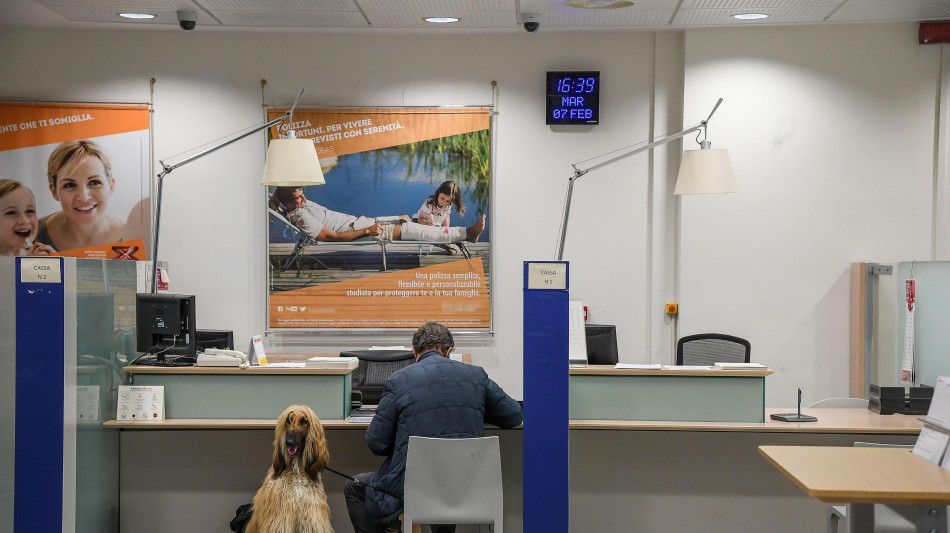 Bankitalia, aumentano del 2,8% ad aprile i prestiti al settore privato