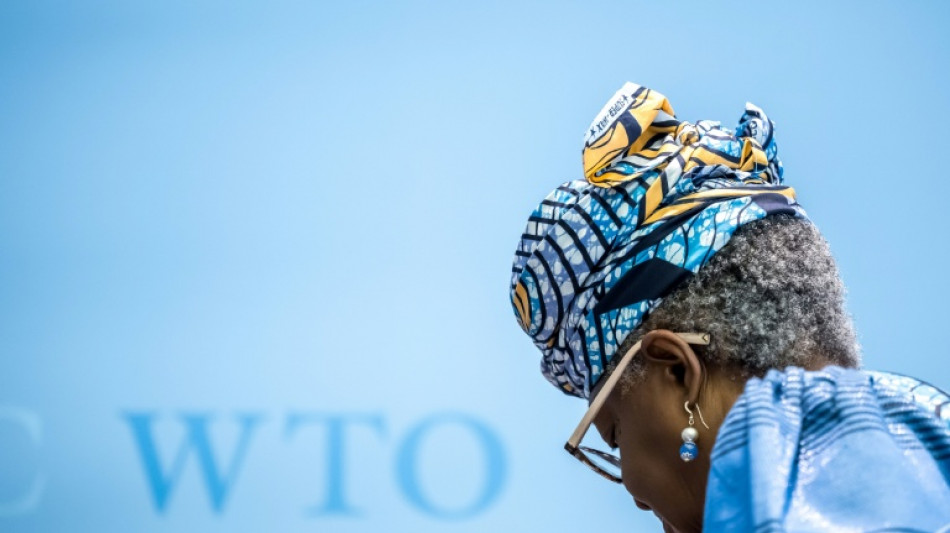 L'OMC lance sa conf&eacute;rence minist&eacute;rielle &agrave; Yaound&eacute; dans un contexte de crise