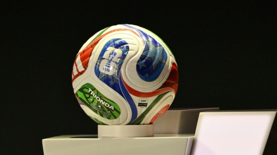 Fu&szlig;ball-WM: Gr&uuml;ne fordern Schutzkonzept f&uuml;r deutsche Fans in den USA