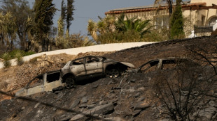 Tras dos d&iacute;as de "infierno", el mort&iacute;fero incendio del sur de Espa&ntilde;a evoluciona favorablemente