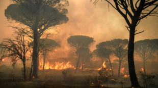 Vaste incendie pr&egrave;s de Saint-Tropez en 2021: un suspect mis en examen