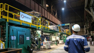 Ifo: Betriebe planen wegen Mindestlohn Stellenstreichungen und Preiserh&ouml;hungen