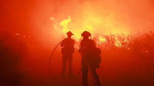 Feuerwehrleute k&auml;mpfen gegen bislang gr&ouml;&szlig;tes Feuer des Jahres in Kalifornien