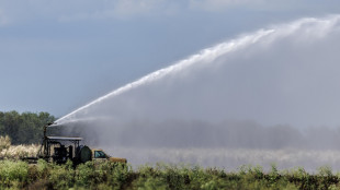 Nel 2025 record storico di erogazioni in agricoltura per 10 miliardi