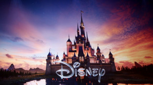 Un ejecutivo de Disney, condenado a dos a&ntilde;os y medio de prisi&oacute;n en Rusia por drogas
