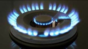 SPD-Fraktionsvizes fordern Fortsetzung der Energiepreisbremsen bis Ende M&auml;rz